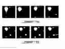 Fig. 07 - RELIABLE DETECTION OF VANCOMYCIN-INTERMEDIATE STAPHYLOCOCCUS AUREUS