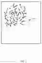 Fig. 04 - Methods for determination of haplotype dissection