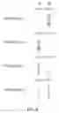 Fig. 07 - Methods for determination of haplotype dissection