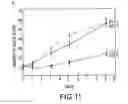 Fig. 07 - Methods for determining prognoses and therapeutic interventions for ovarian carcinomas