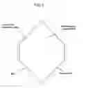Fig. 05 - Microfluidic assay for selection and optimization of drug delivery vehicles to tumors