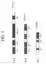 Fig. 02 - PUFA polyketide synthase systems and uses thereof