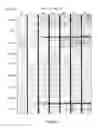 Fig. 06 - Cell lines having enhanced cell longevity and protein expression
