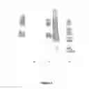 Fig. 07 - Methods and compositions relating to isocyanate conjugates