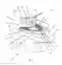 Fig. 04 - TURKEY BREAST DEFATTER