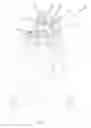 Fig. 07 - TURKEY BREAST DEFATTER