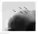 Fig. 01 - EXHAUST GAS PURIFICATION CATALYST