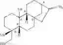 Fig. 22 - TISSUE DEGENERATION PROTECTION