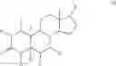 Fig. 04 - NOVEL COMPOSITION BASED ON CHOLEST-4-EN-3-ONE OXIME