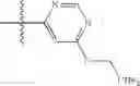 Fig. 271 - Quinuclidine compounds as α-7 nicotinic acetylcholine receptor ligands