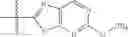 Fig. 303 - Quinuclidine compounds as α-7 nicotinic acetylcholine receptor ligands