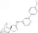 Fig. 554 - Quinuclidine compounds as α-7 nicotinic acetylcholine receptor ligands