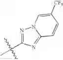 Fig. 596 - Quinuclidine compounds as α-7 nicotinic acetylcholine receptor ligands