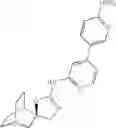 Fig. 962 - Quinuclidine compounds as α-7 nicotinic acetylcholine receptor ligands