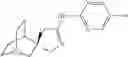 Fig. 985 - Quinuclidine compounds as α-7 nicotinic acetylcholine receptor ligands