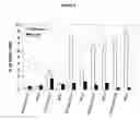 Fig. 09 - Method of treatment using inhibitors of mitosis