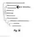 Fig. 41 - Compositions, methods, and kits for polyunsaturated fatty acids from microalgae