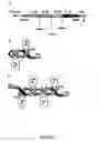 Fig. 02 - Multivalent antibody constructs