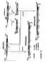 Fig. 04 - Multivalent antibody constructs