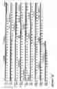 Fig. 08 - Multivalent antibody constructs