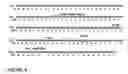 Fig. 12 - Multivalent antibody constructs