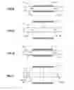 Fig. 07 - SHAPE MEMORY TUBULAR STENT WITH GROOVES
