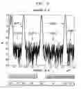 Fig. 07 - Effective deployment of temporal noise shaping (TNS) filters