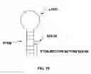 Fig. 11 - MICRORNA DETECTING APPARATUS, METHOD, AND PROGRAM
