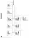 Fig. 08 - System And Method For Sizing Enterprise Application Systems