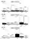 Fig. 07 - METHOD AND APPARATUS FOR TRACKING AND ANALYZING ENVIRONMENTAL IMPACT OF PRODUCING PAPER