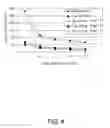 Fig. 05 - Routing XML queries