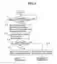 Fig. 08 - Image photographic apparatus