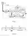 Fig. 02 - VIDEO RECORDING AND PLAYING APPARATUS, AND FILE MANAGEMENT METHOD