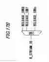 Fig. 35 - Processing device