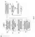 Fig. 06 - Natural Visualization And Routing Of Digital Signatures