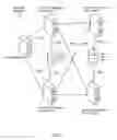 Fig. 02 - Methods and systems for converting a related group of physical machines to virtual machines