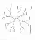 Fig. 11 - Silk proteins