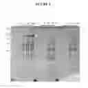 Fig. 05 - Methods and Compositions for Increasing the Nitrogen Storage Capacity of a Plant