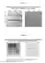 Fig. 13 - Methods and Compositions for Increasing the Nitrogen Storage Capacity of a Plant