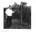 Fig. 01 - Mango tree FP2