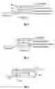 Fig. 07 - Electrical garment and electrical garment and article assemblies