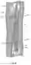 Fig. 16 - Electrical garment and electrical garment and article assemblies