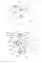 Fig. 03 - COMBINATION STRUCTURE OF AN URN FOR PETS' CREMATE REMAINS