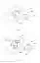Fig. 02 - COMBINATION STRUCTURE OF AN URN FOR PETS' CREMATE REMAINS