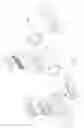 Fig. 02 - Rekeyable lock cylinder and rekeying method thereof