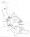 Fig. 01 - Horn guard device for motorcycle