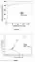 Fig. 06 - Method of making a nanostructured austenitic steel sheet