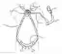 Fig. 01 - Shoulder protector and safety harness