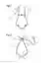 Fig. 02 - Shoulder protector and safety harness