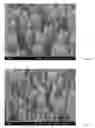 Fig. 04 - Method for preparing nanotubes of piezoelectric material and nanotubes of piezoelectric material obtained thereby